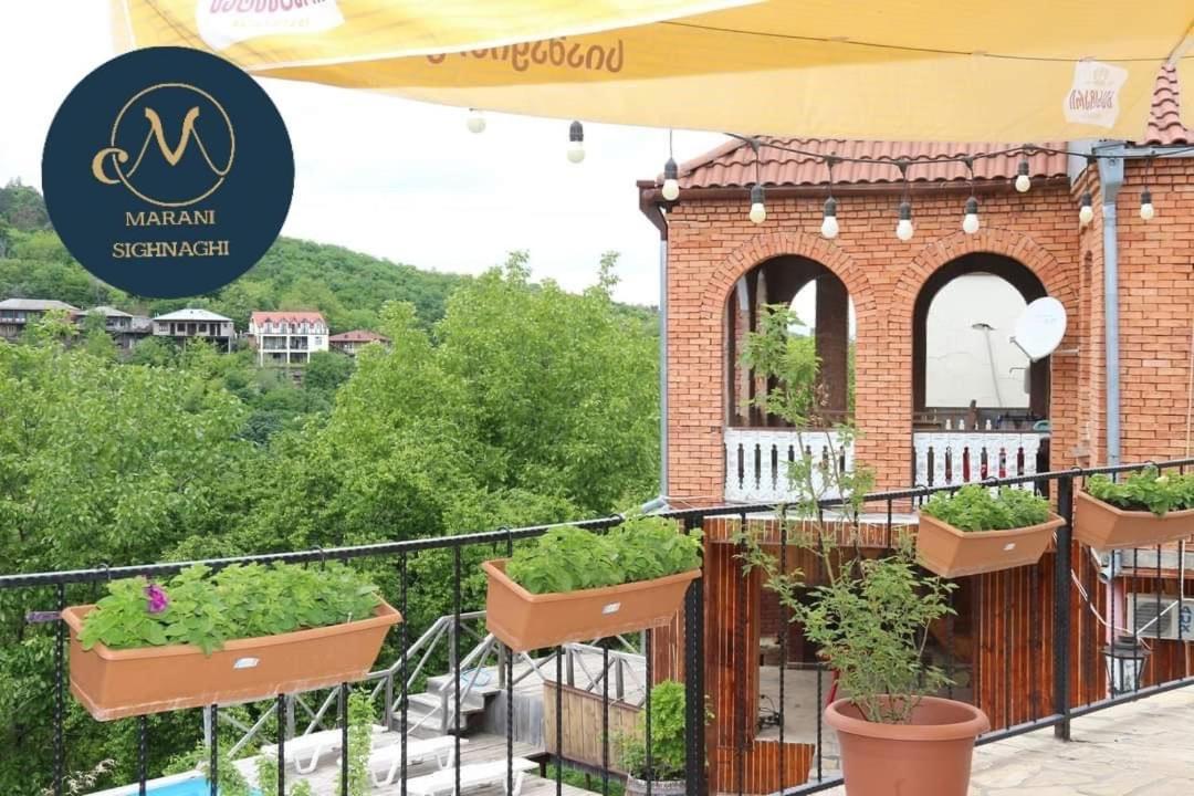 Guest House Marani シグナギ エクステリア 写真